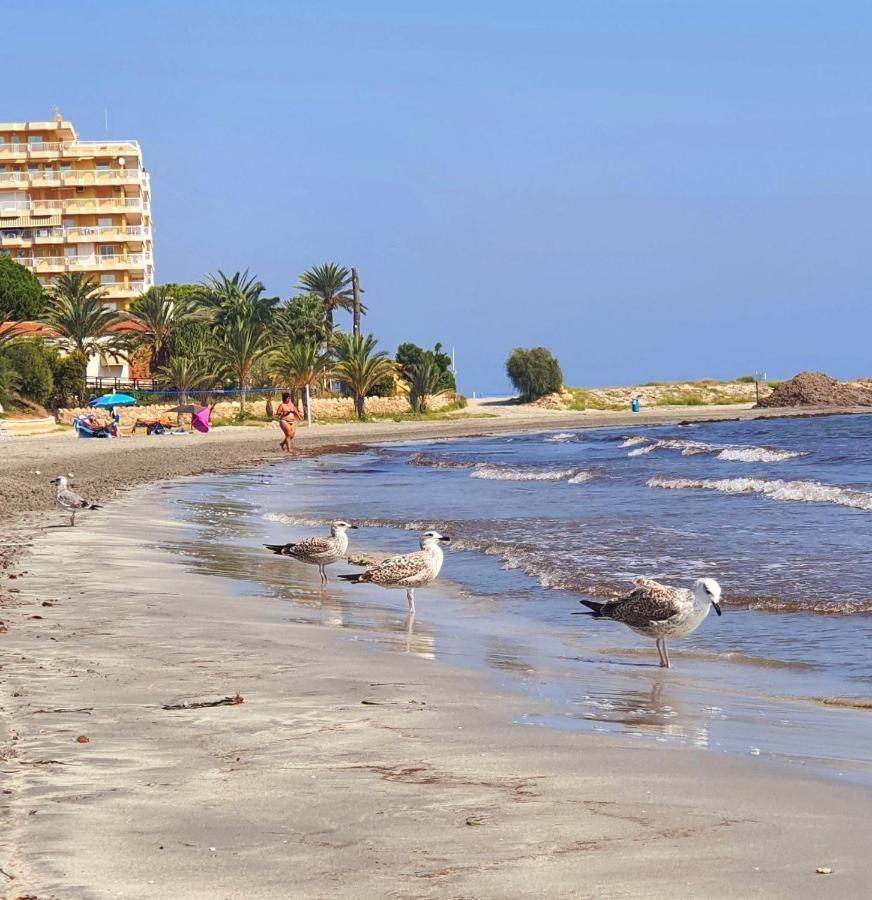 Sunflower Residence First Line By The Sea Santa Pola Ngoại thất bức ảnh